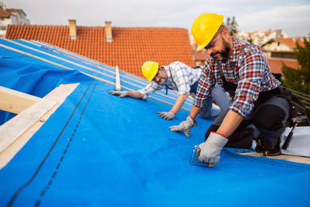 Best Storm Damage Roof Repair  in Dunkirk, NY